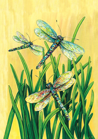 Dragonflies In Flight House Flag Image
