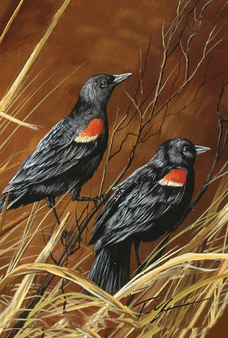 Red Winged Blackbirds Garden Flag Image