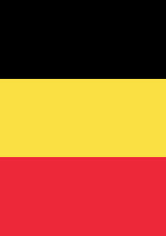 Flag of Belgium House Flag Image