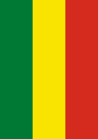 Flag of Bolivia House Flag Image