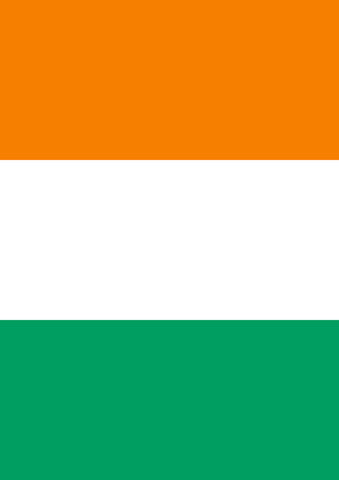 Flag of Cote D'Ivoire Garden Flag Image