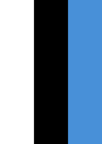 Flag of Estonia House Flag Image
