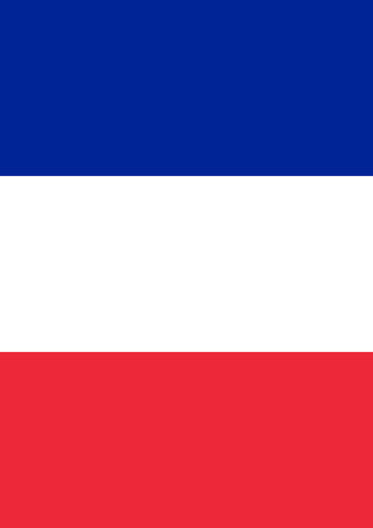 Flag of France Garden Flag Image