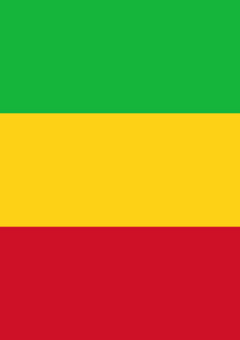 Flag of Mali House Flag Image