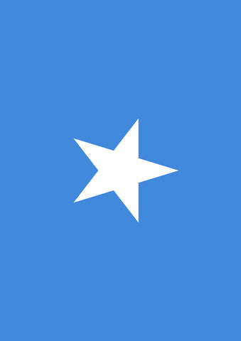 Flag of Somalia Garden Flag Image