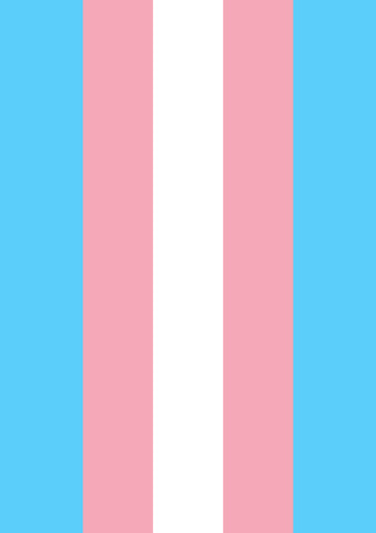 Transgender Pride Garden Flag Image