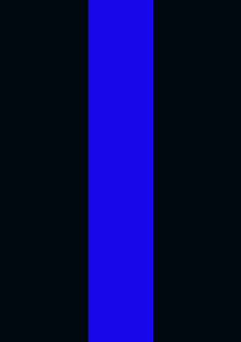 Thin Blue Line House Flag Image