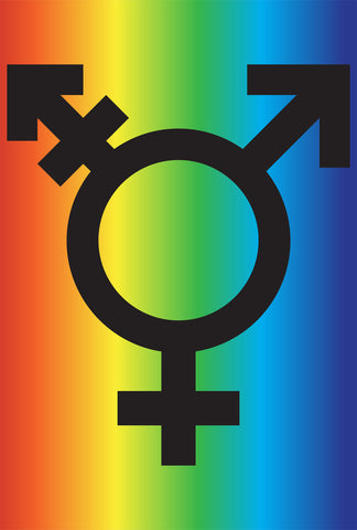 Transgender Flag House Flag Image