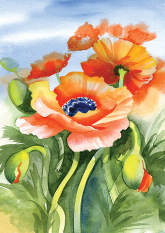 Poppies Posing House Flag Image