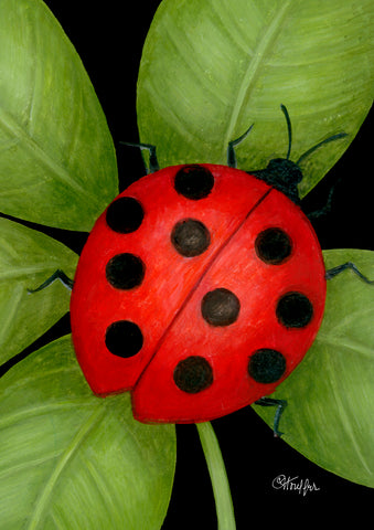Ladybug House Flag Image