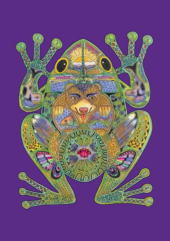 Animal Spirits- Frog Garden Flag Image