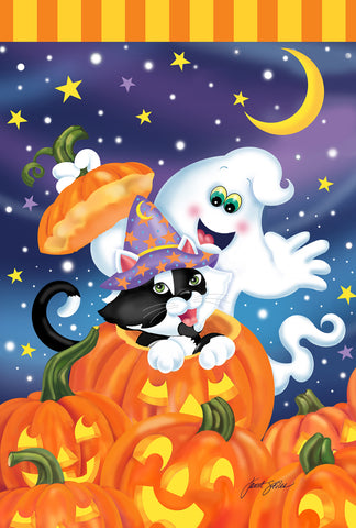 Witch Kitty House Flag Image