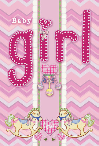 It's A Baby Girl House Flag Image