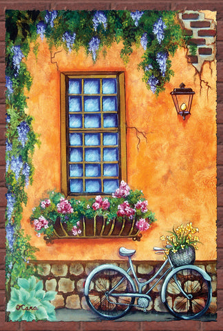 Rustic Townhouse Window House Flag Image