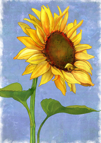 Sunflower In The Sky House Flag Image