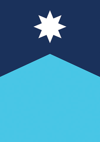 Minnesota North Star House Flag Image