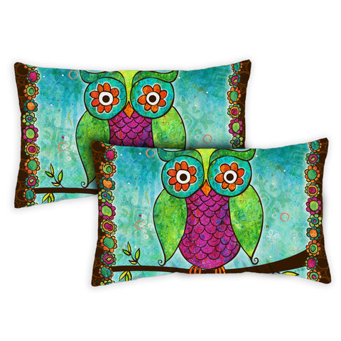 Rainbow Owl 12 x 19 Inch Indoor Pillow Case Image