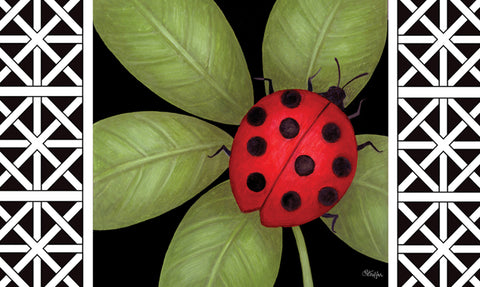 Ladybug Door Mat Image