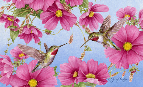 Hummingbirds with Pink Door Mat Image