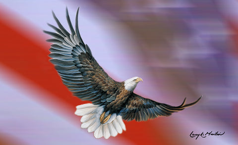 Patriotic Eagle Door Mat Image