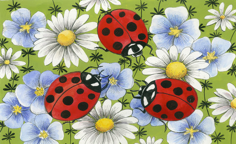 Flowers and Ladybugs Door Mat Image